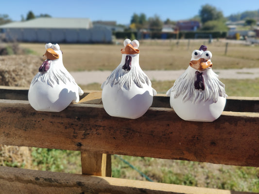 Set of 3 - Bgurk girls - Funny chicken figurines - fence sitters